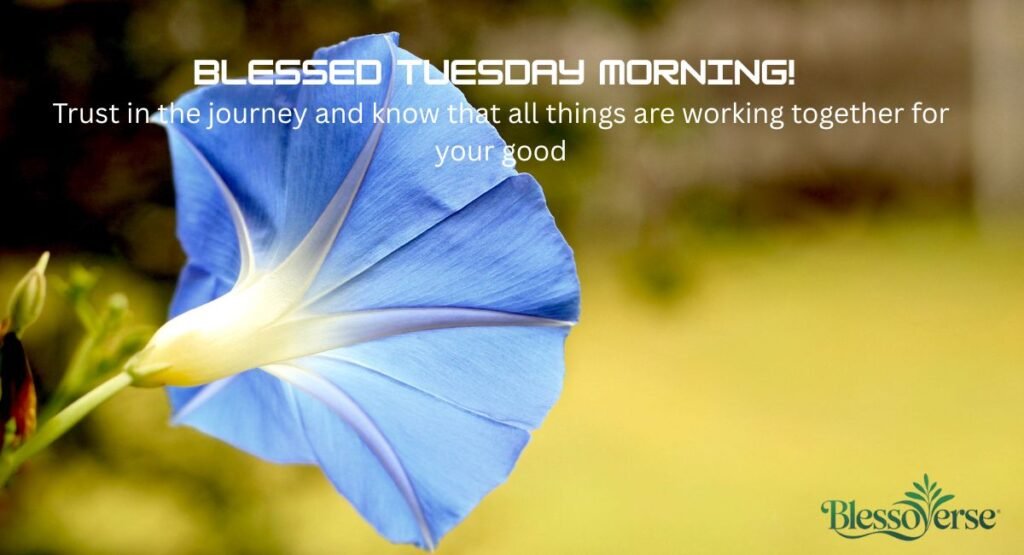 Deep Spiritual good morning Tuesday Blessings (God’s Grace)