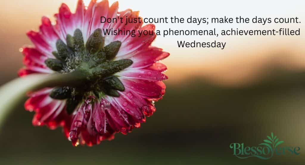 Inspirational & Motivational Midweek Messages