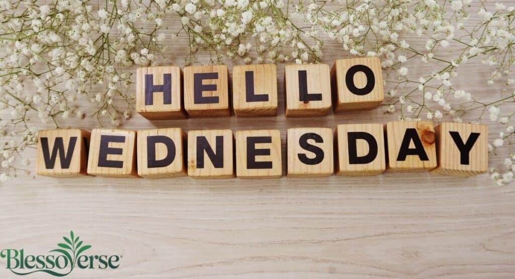 Delightful Good Morning Wednesday Blessings