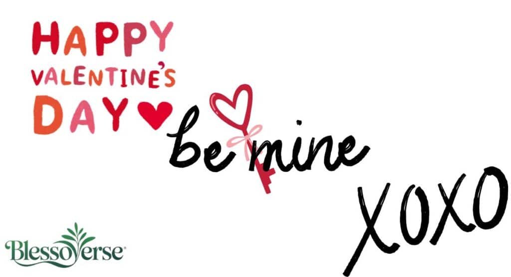 Romantic Valentine’s Day Messages for Partners