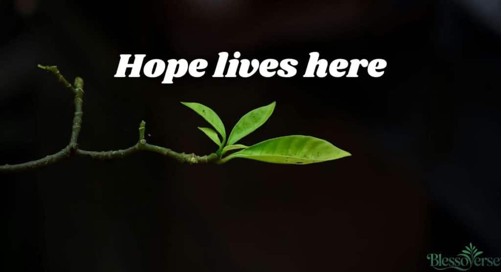 101+ Hope Quotes and Caption for Hard Times and New Beginnings 2026