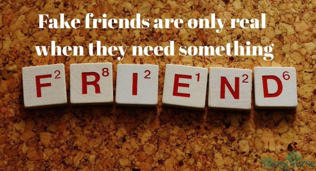 The Anatomy of a Fake Friend