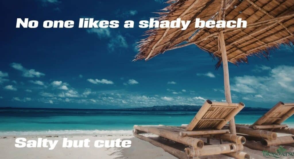 Funny Beach Captions & Puns