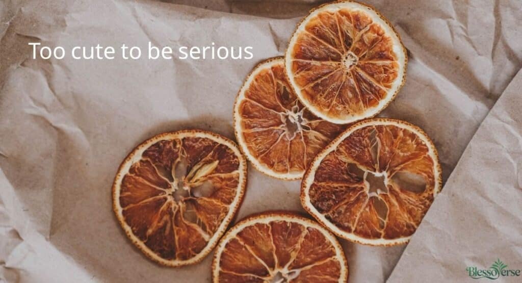 Funny Sissy Captions for Instagram