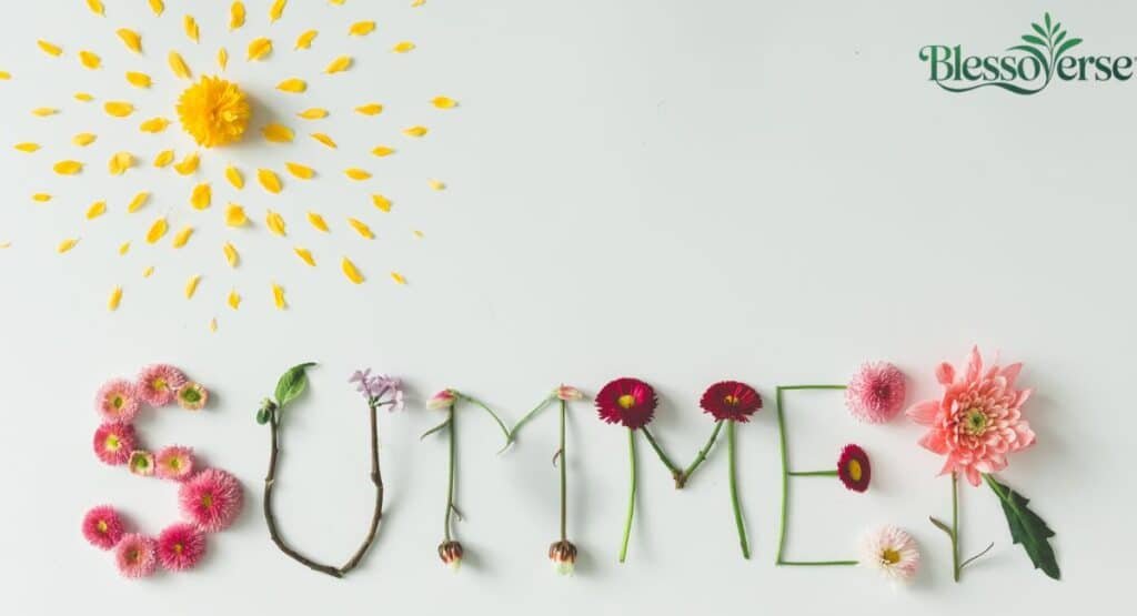 550+ Best Summer Instagram Captions for 2026: The Ultimate Viral List