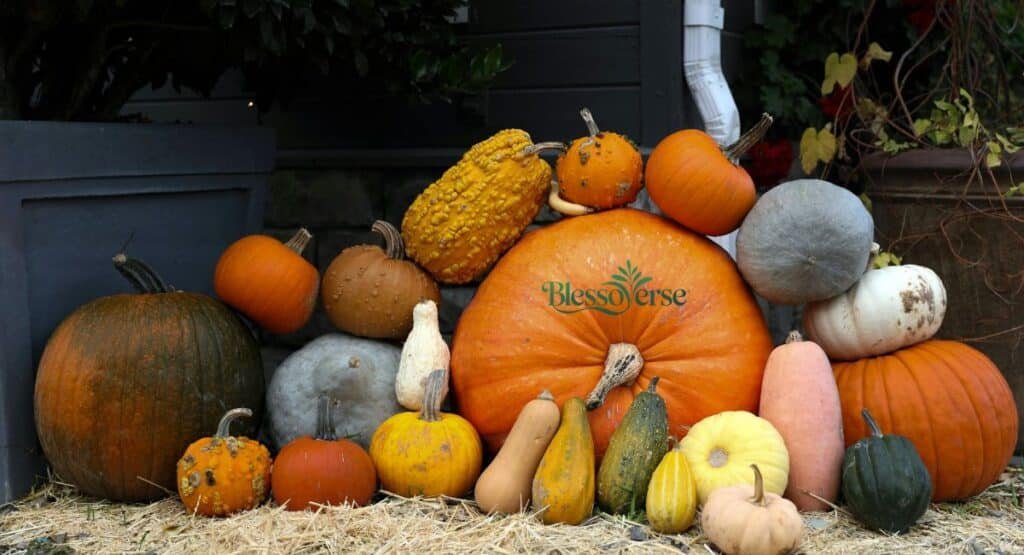 Timeless Pumpkin Quotes & Literary Sayings