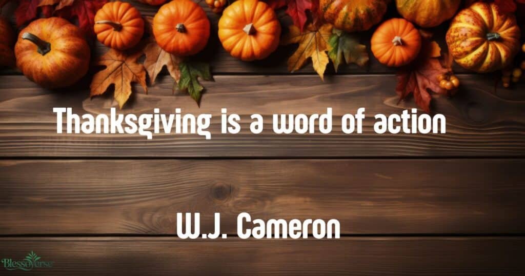 Quotes / Sayings Section to Inspire Gratitude