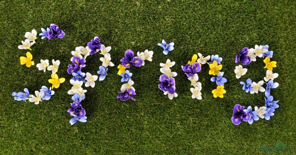 150+ Beautiful Spring Blessings to Renew Your Soul (Best 2026 List)